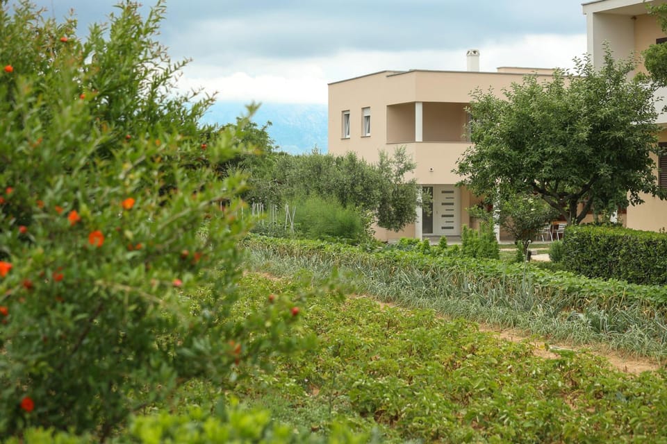 Apartmani Toni Apartment in Zadar County