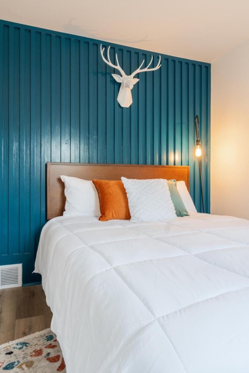 Bed, Photo of the whole room, Bedroom