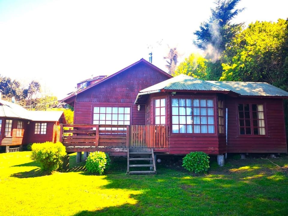 Property building, Spring, Day, Garden, Garden view