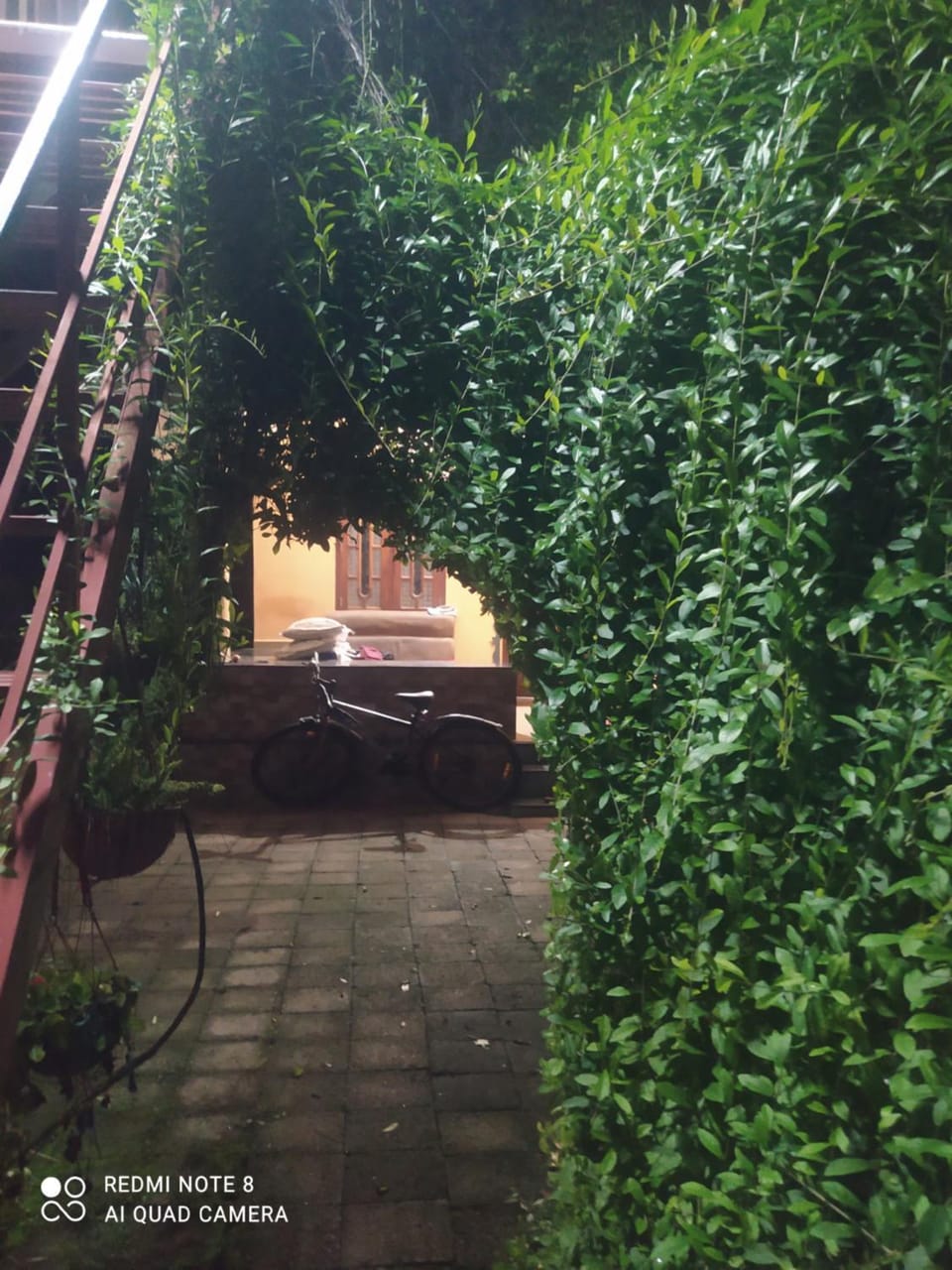 Mundromocktail Tourist Home Vacation rental in Kerala