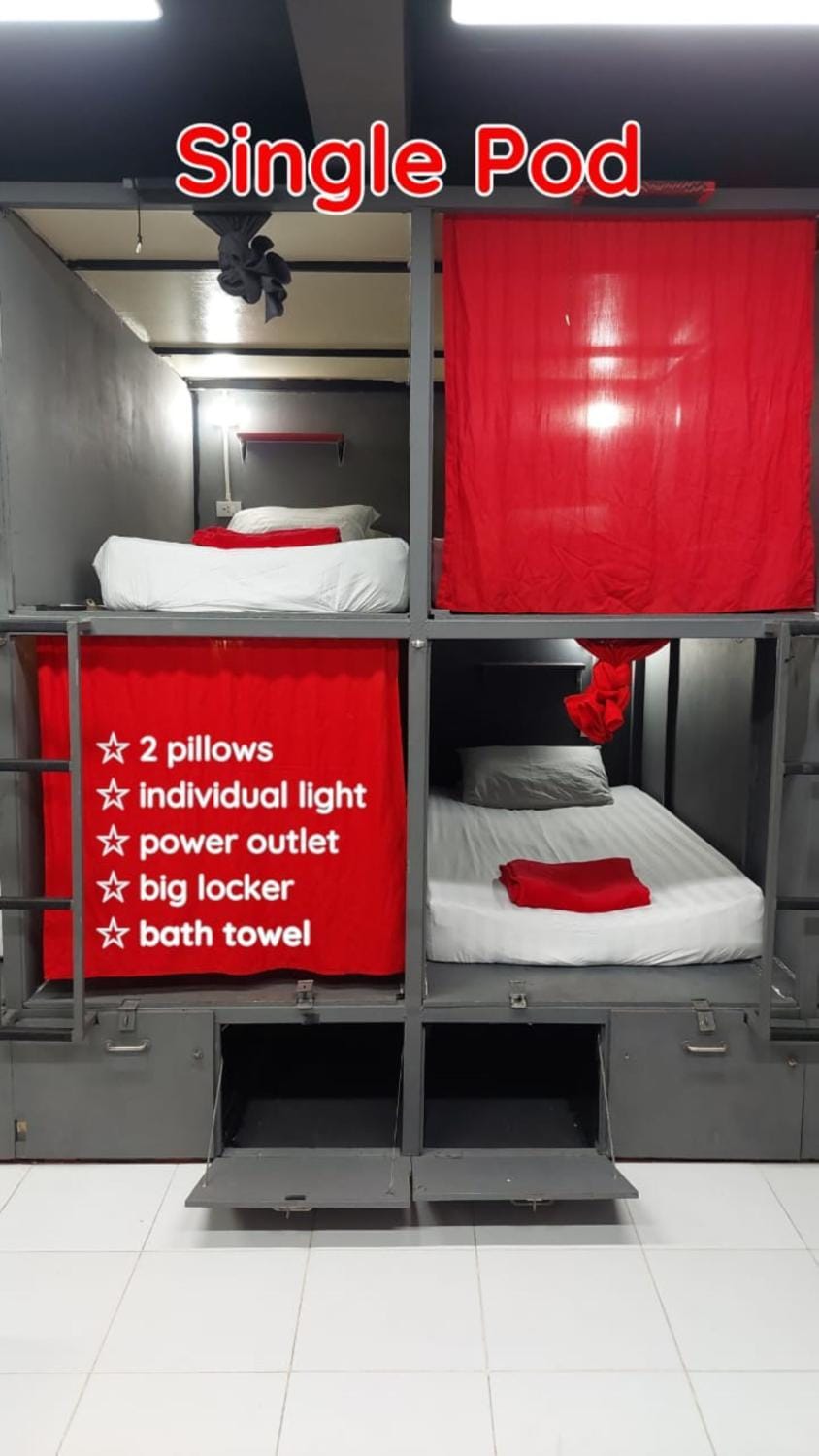 Bed, Photo of the whole room, Bedroom, bunk bed