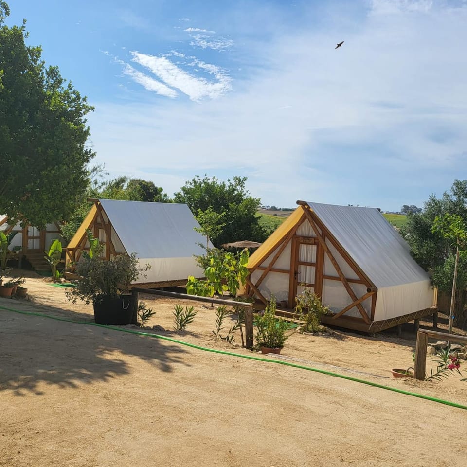 Property building, Natural landscape