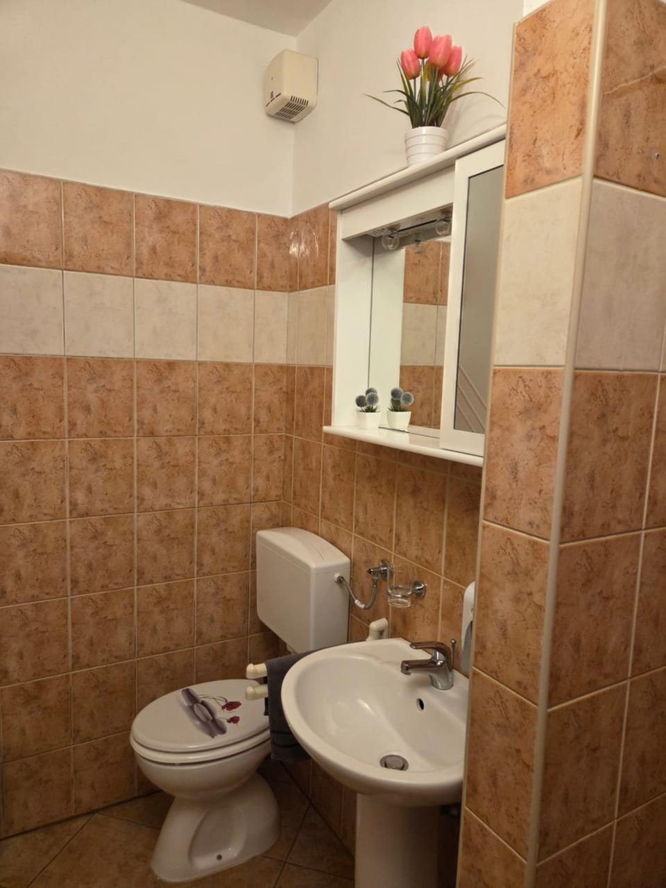 Maslina Rooms Vodnjan Bed and Breakfast in Vodnjan