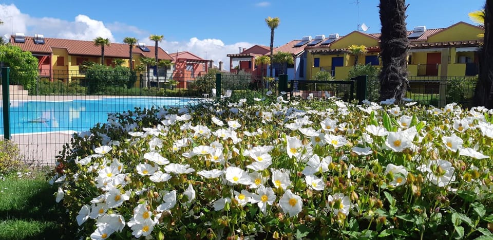 Appartamento con giardino e uso piscina Apartment in Friuli-Venezia Giulia