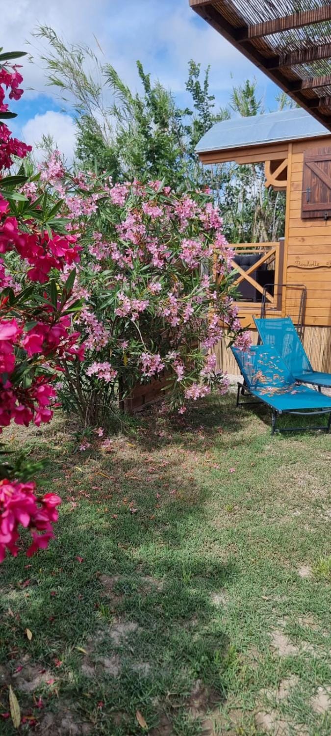 La Roulotte du Mas House in Saintes-Maries-de-la-Mer