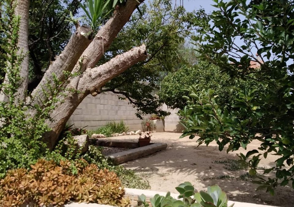 Casa Lo Fangar - Deltebre House in Montsià