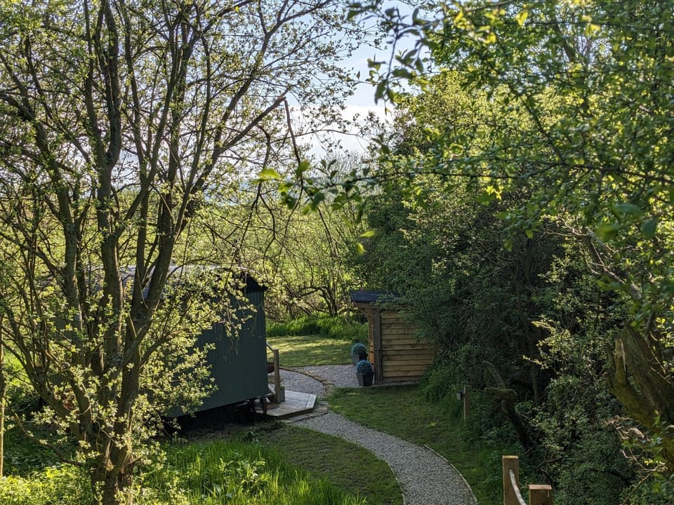 Day, Natural landscape, Garden view