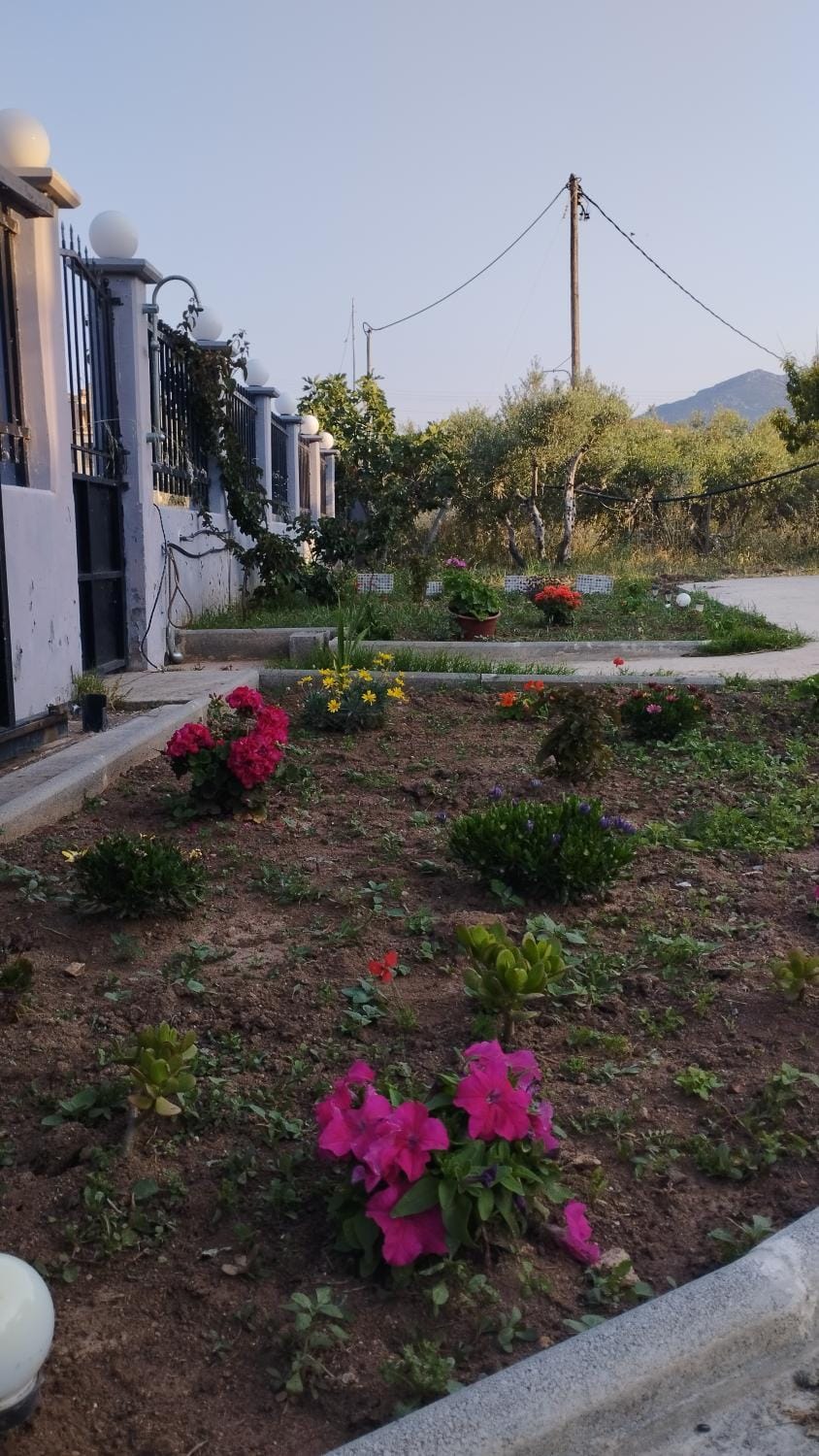 AGNANTIO HOME House in Islands