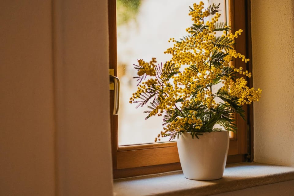 Casa ‘Crystal’ House in Novigrad