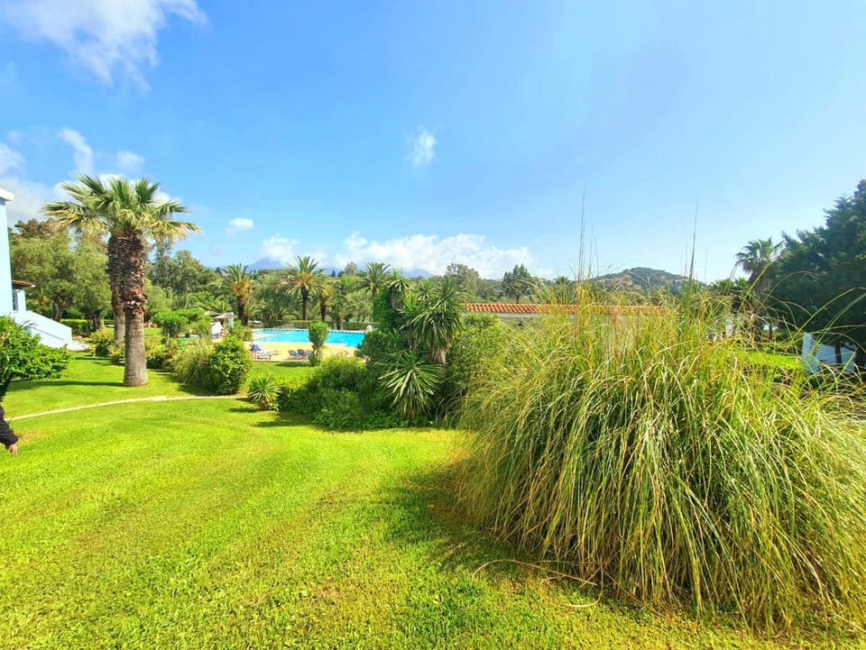 Garden, Swimming pool