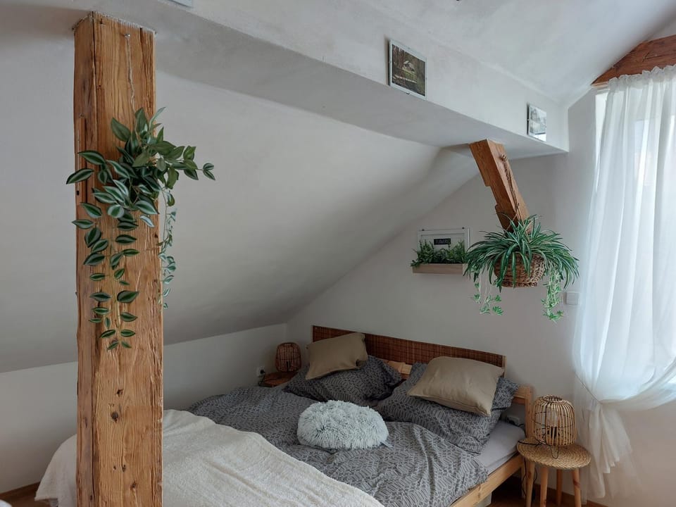 Apartmán Mourek Apartment in Czechia