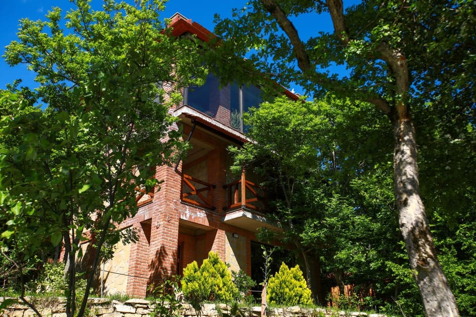 Villa Vejini Villa in Georgia