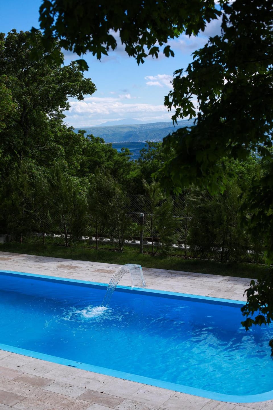 Villa Vejini Villa in Georgia