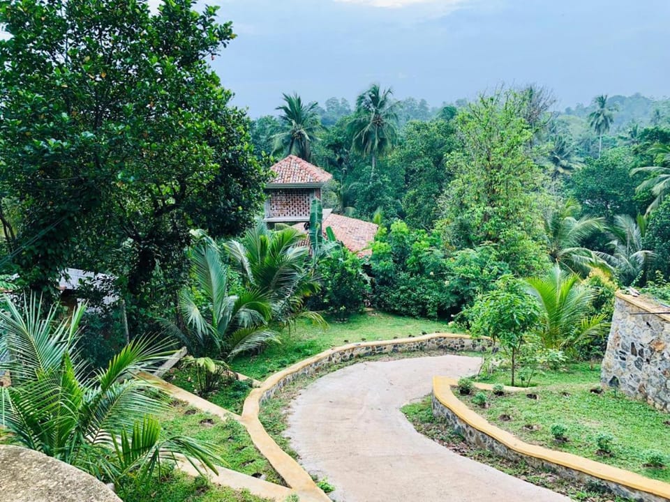 Natural landscape
