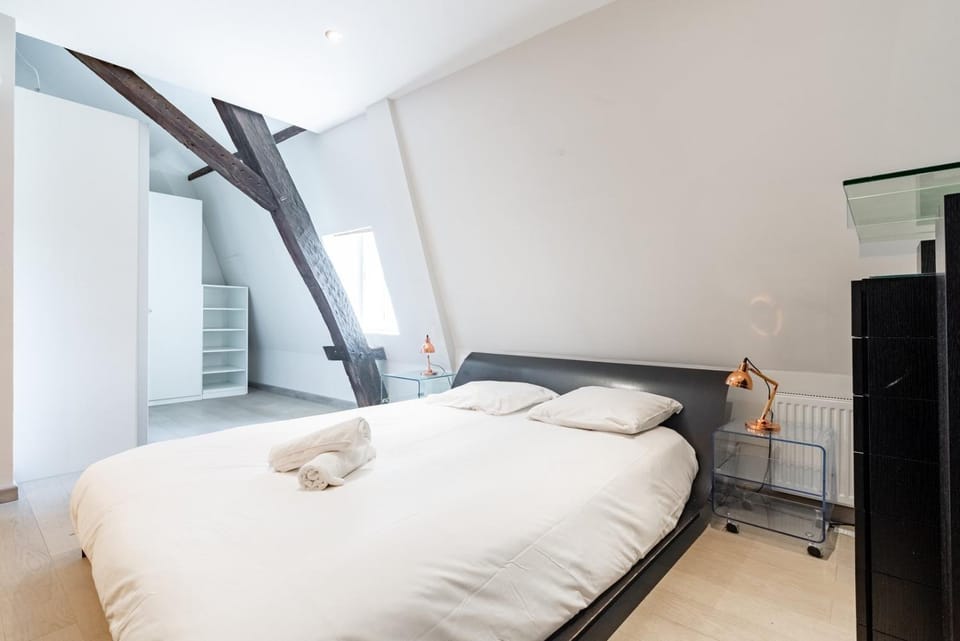 "De Bretagne" - Hôtel particulier Apartment in Dijon