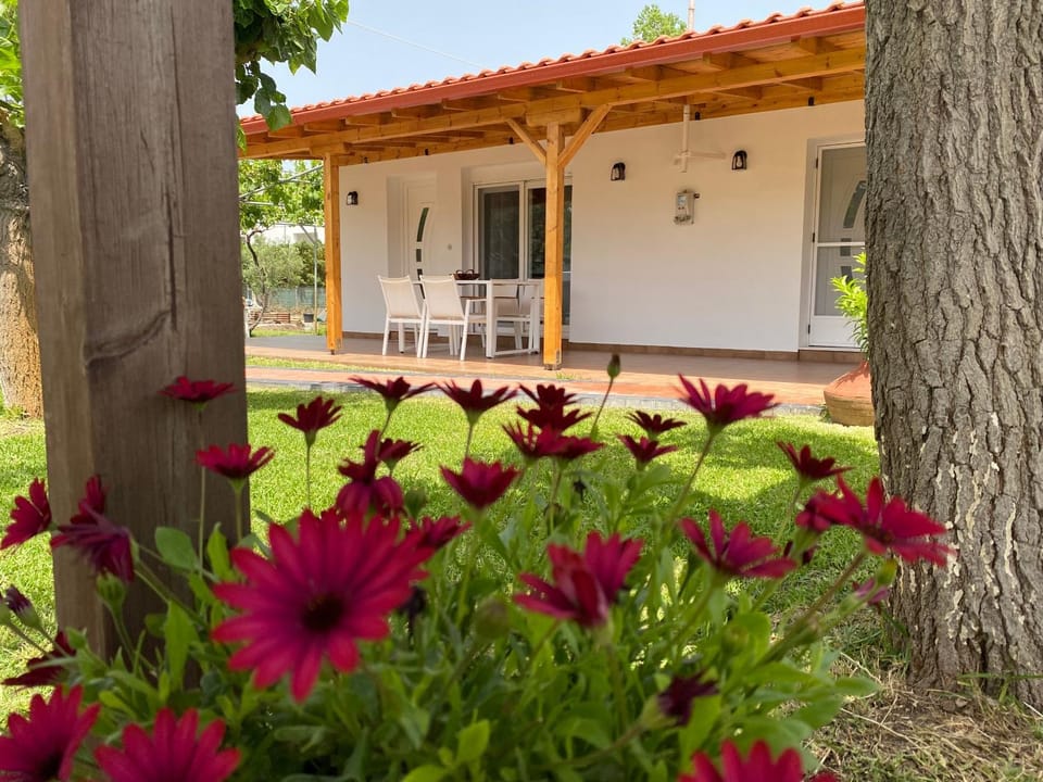 Primos Del Mar Kalamitsi House in Halkidiki