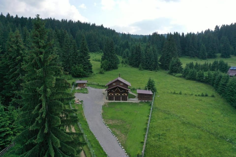 Cabana Niki-Rum Haz House in Romania