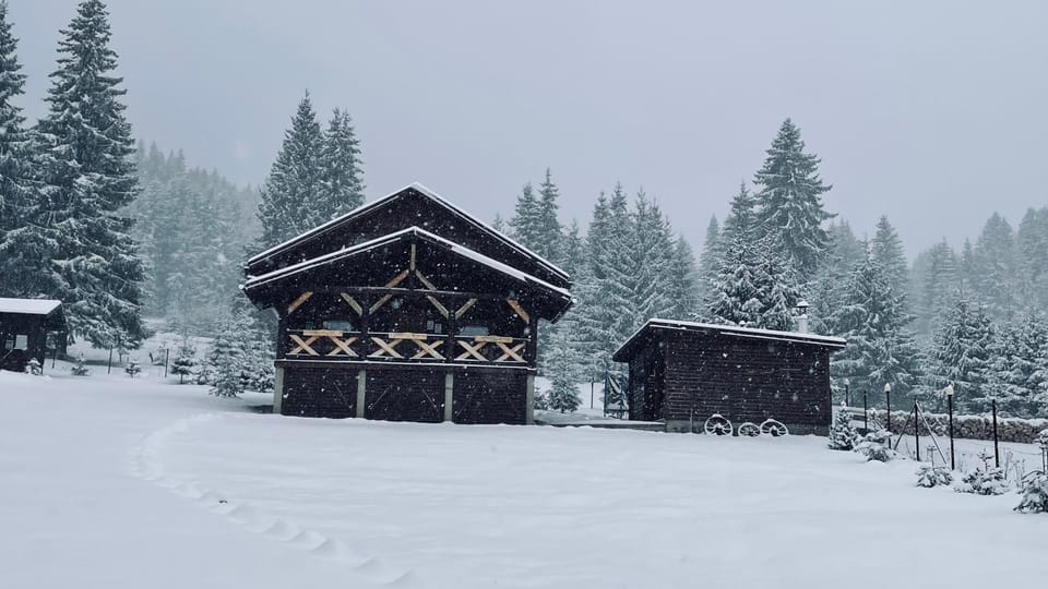 Cabana Niki-Rum Haz House in Romania