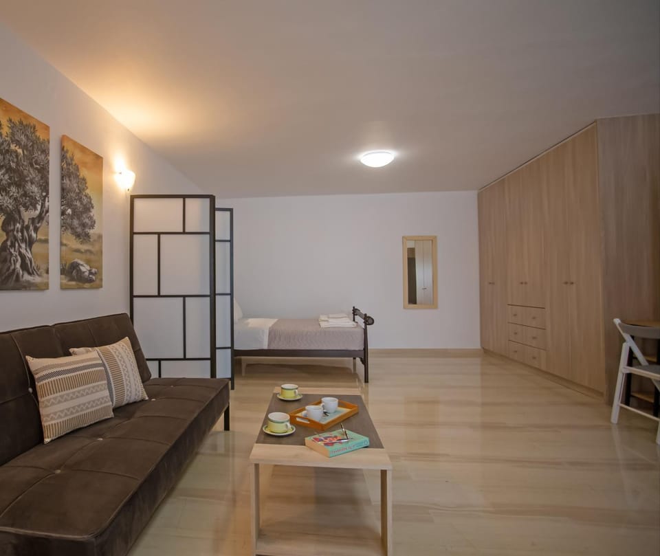 Bed, Living room, Photo of the whole room, Seating area, Bedroom