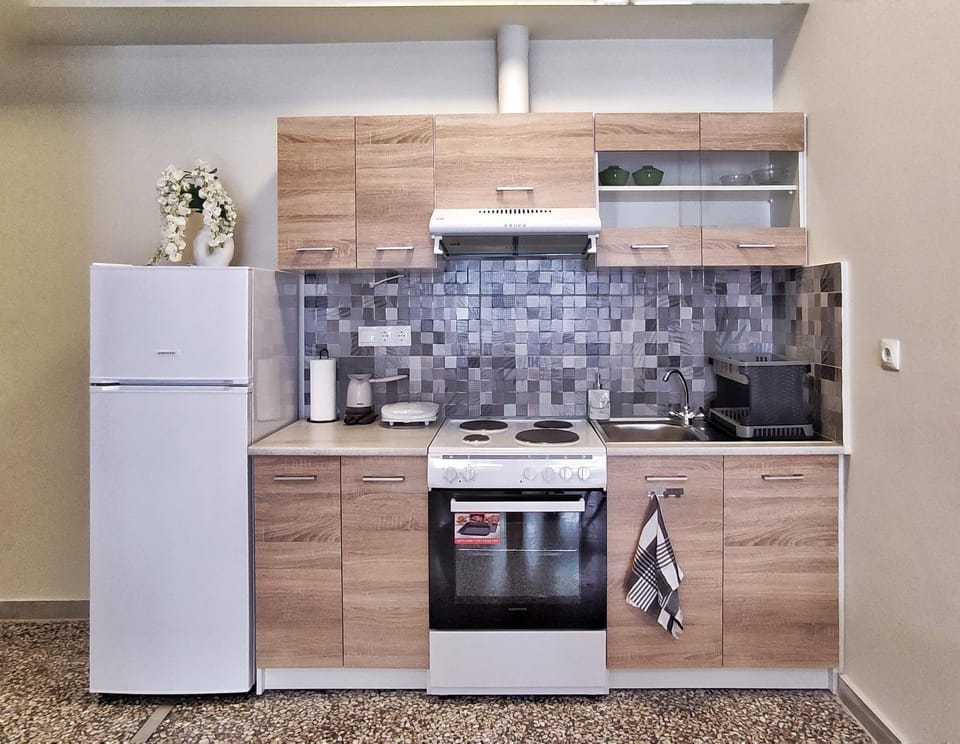 Kitchen or kitchenette, minibar, pet friendly, stove, toaster, kitchen
