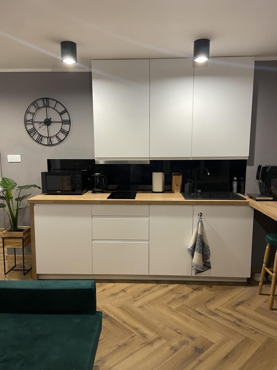 Coffee/tea facilities, Kitchen or kitchenette, minibar, pet friendly, stove