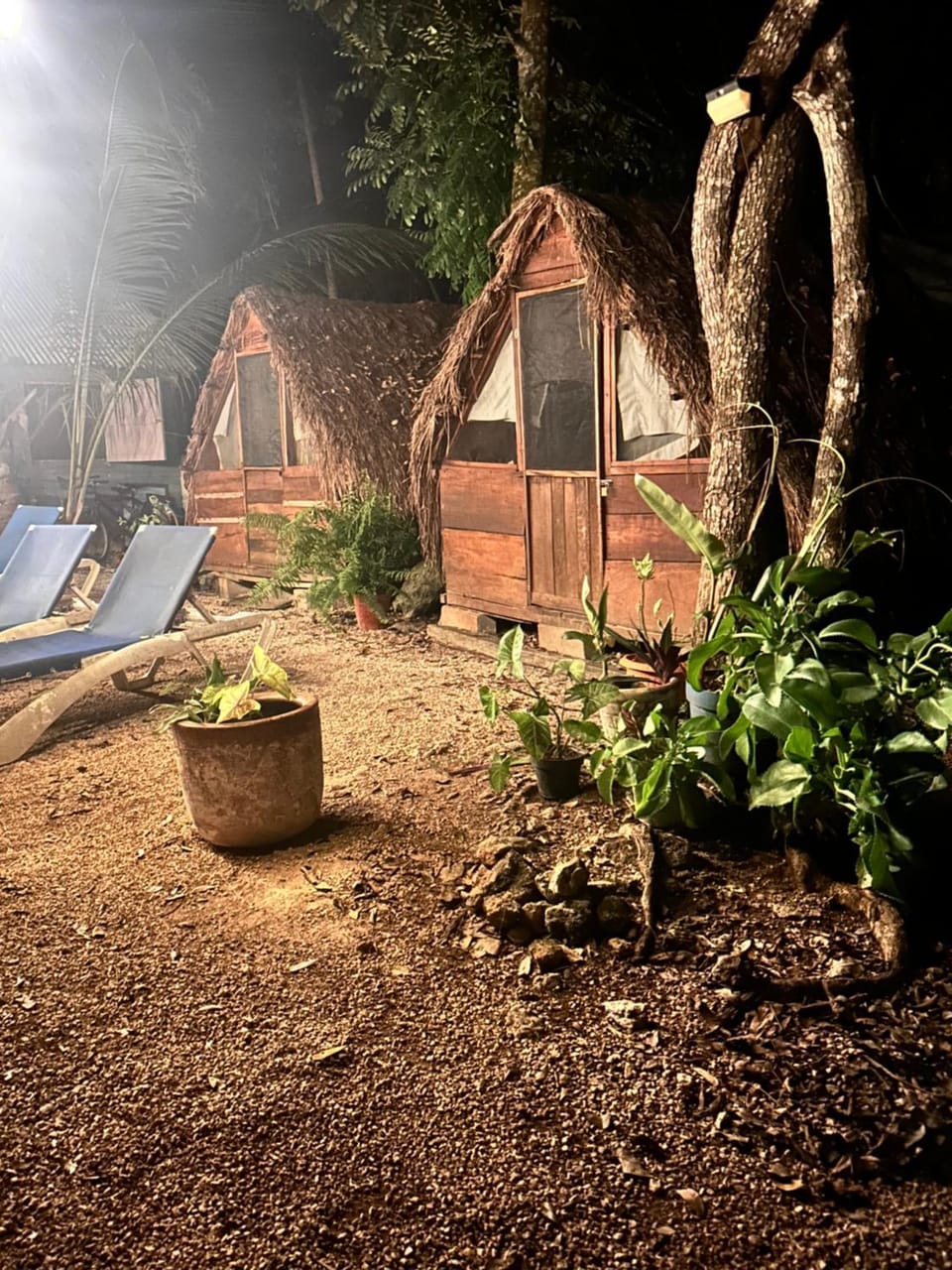 Night, Natural landscape, Garden