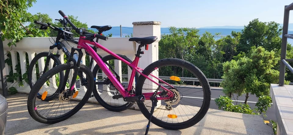 Cycling, Cycling