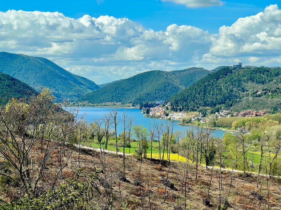 View (from property/room), Lake view
