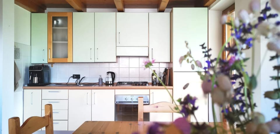 Kitchen or kitchenette, minibar, pet friendly, stove