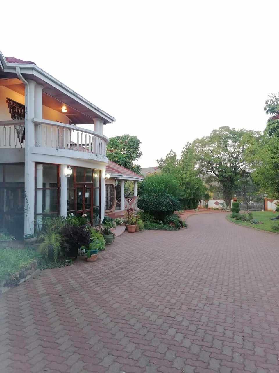 Garden view