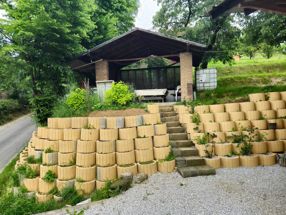 Garden, Garden view, Area and facilities