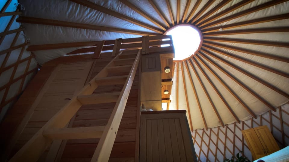 Jurty i namioty w Lesie KotfaLas Glamping Świętokrzyskie-SPA Luxury tent in Masovian Voivodeship