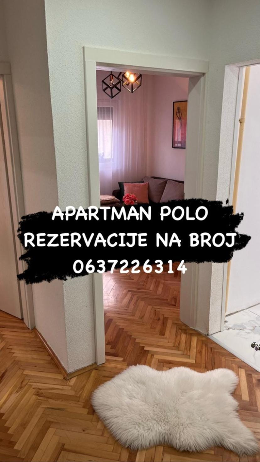 Apartman Polo Apartment in Serbia