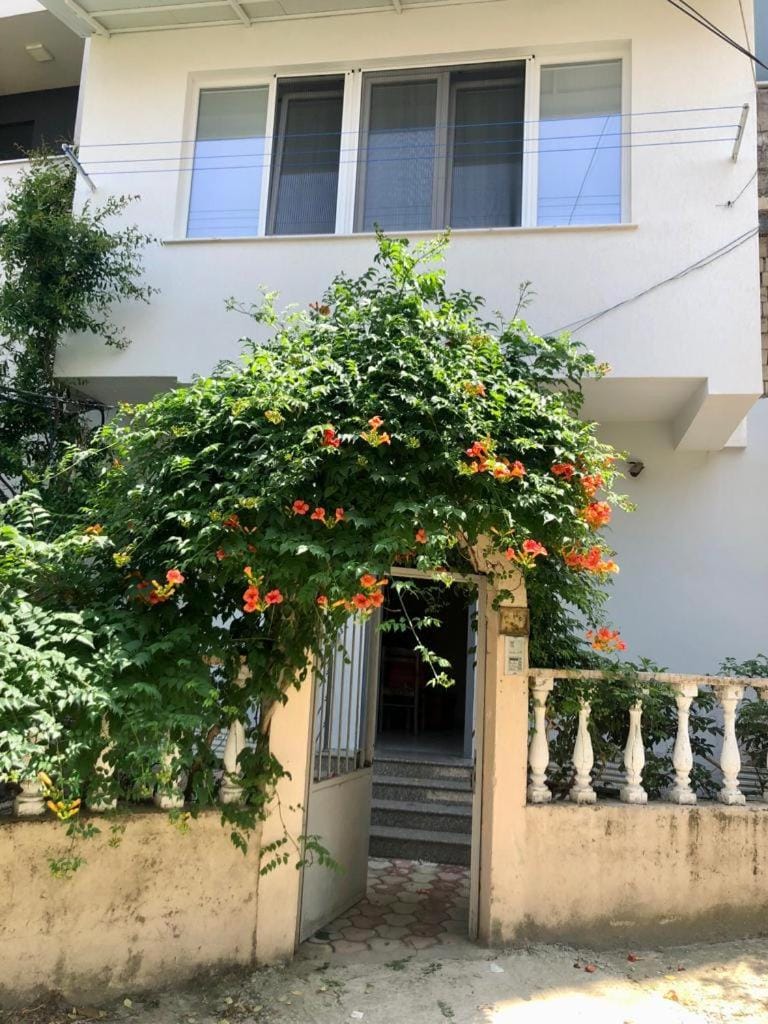 MJolly Apartment Apartment in Tirana