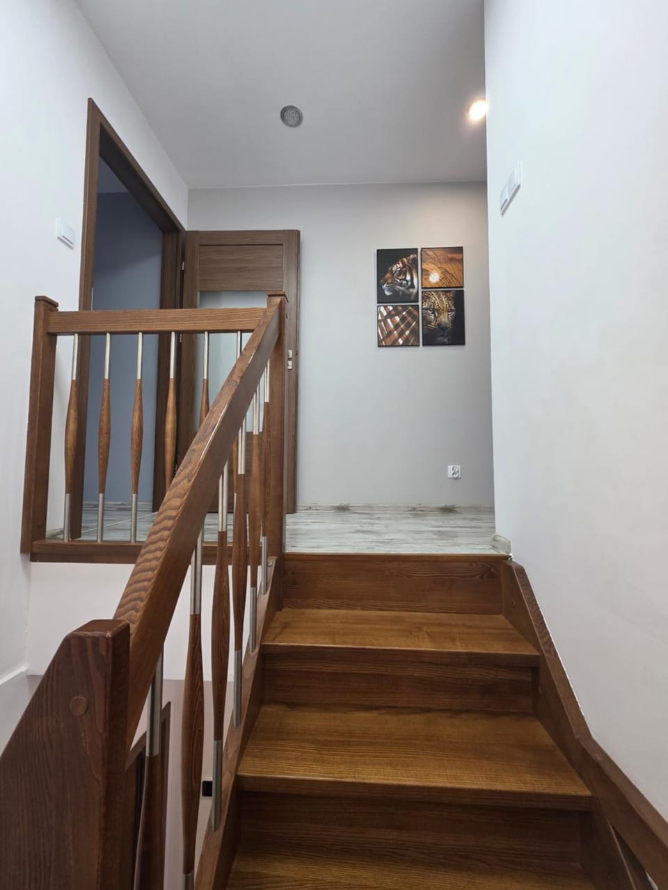 Apartament Leopard Apartment in Greater Poland Voivodeship