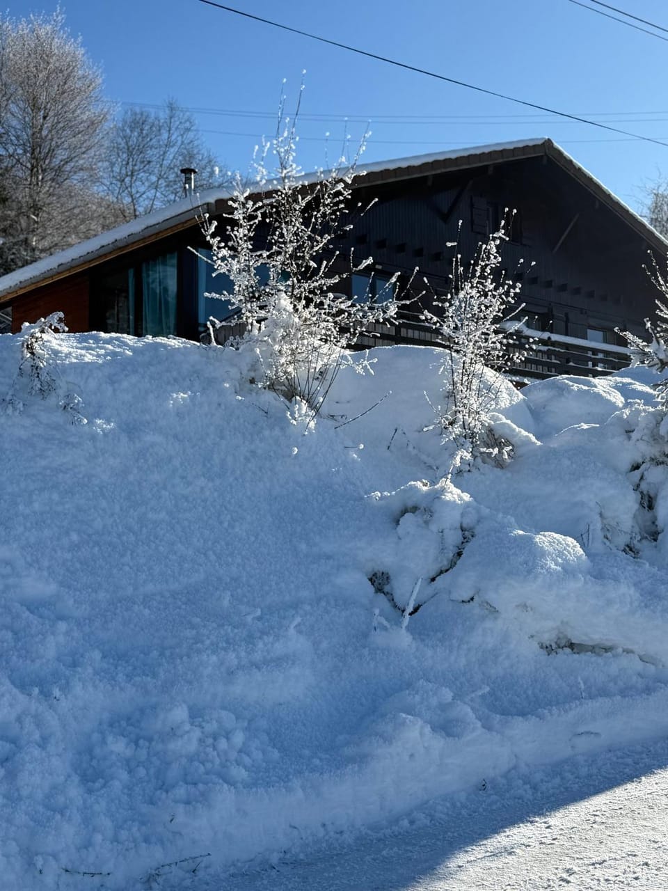 Chalet Charmant rénové au bord du Lac St Point Chalet in Canton of Vaud