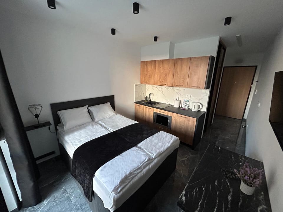 Bed, Kitchen or kitchenette, Photo of the whole room