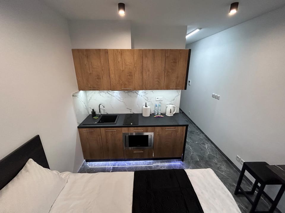 Bed, Kitchen or kitchenette, Photo of the whole room, minibar, stove