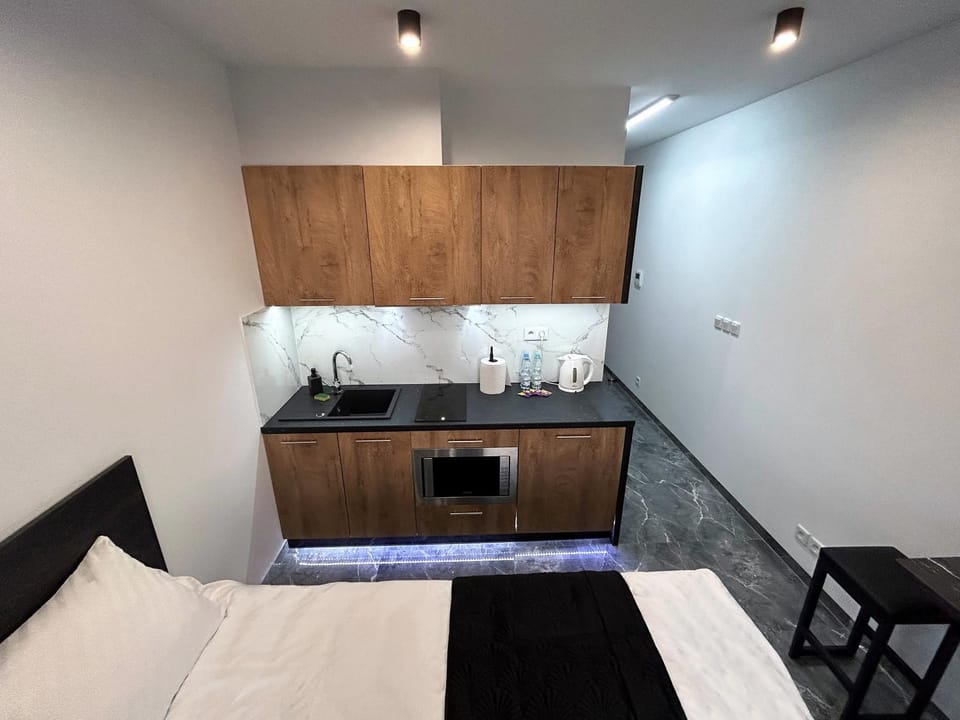 Bed, Kitchen or kitchenette, Photo of the whole room, minibar, stove