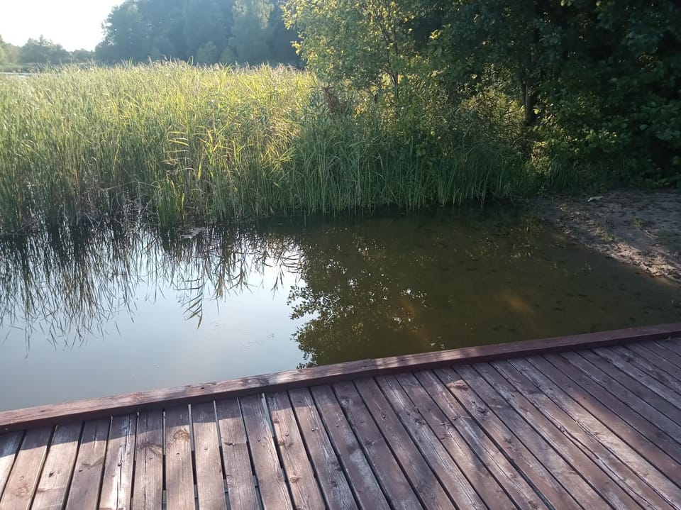 Zalesie z pomostem I House in Poland