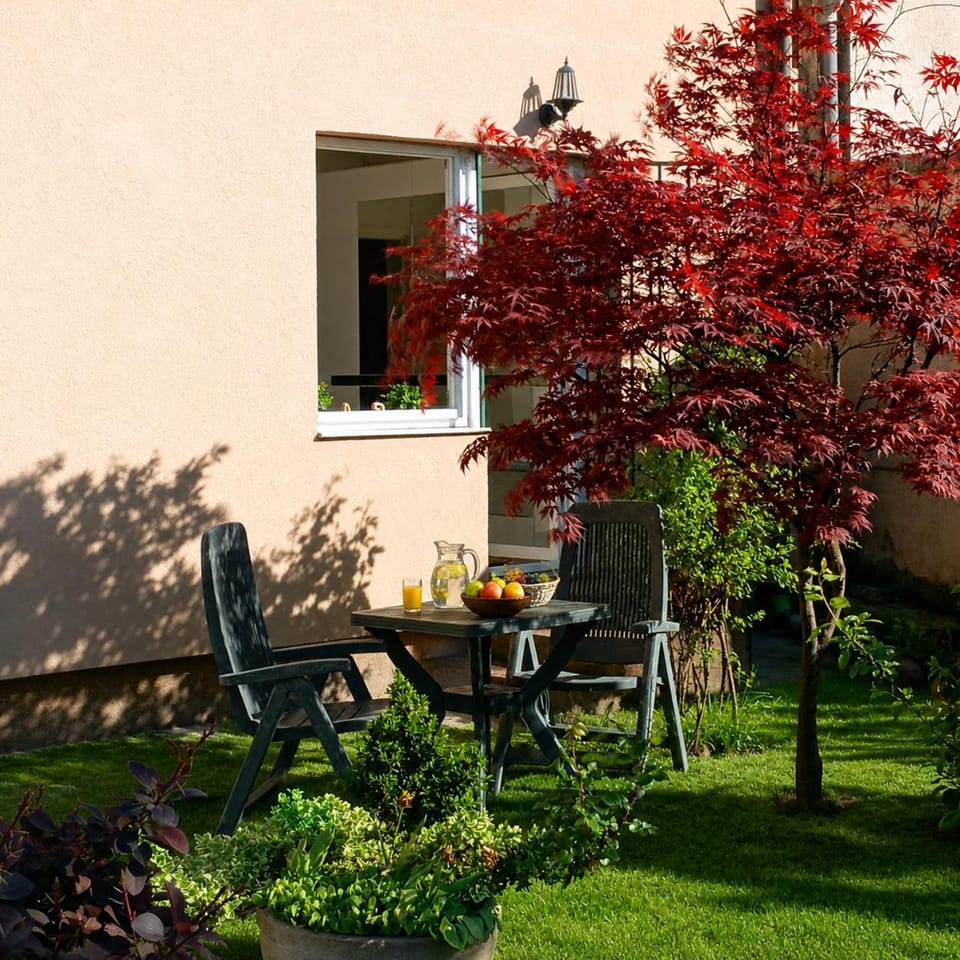 Garden free parking Apartment in Sarajevo