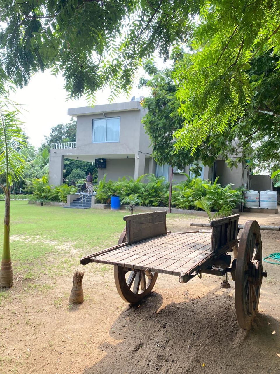 Garden view