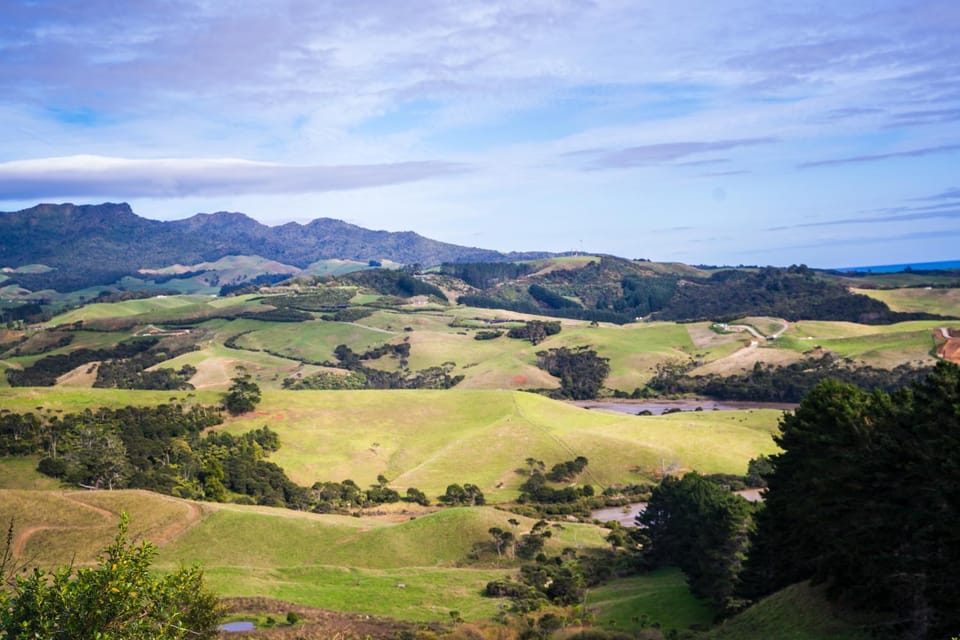 Fridas Accommodation House in Raglan