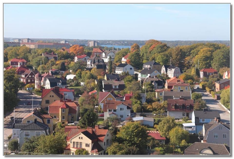 Neighbourhood, Bird's eye view, City view, Location