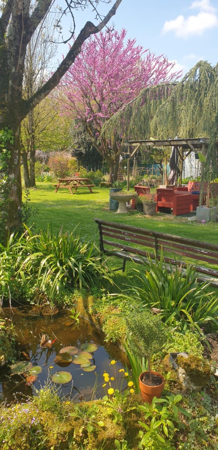 Natural landscape, Garden, Garden view