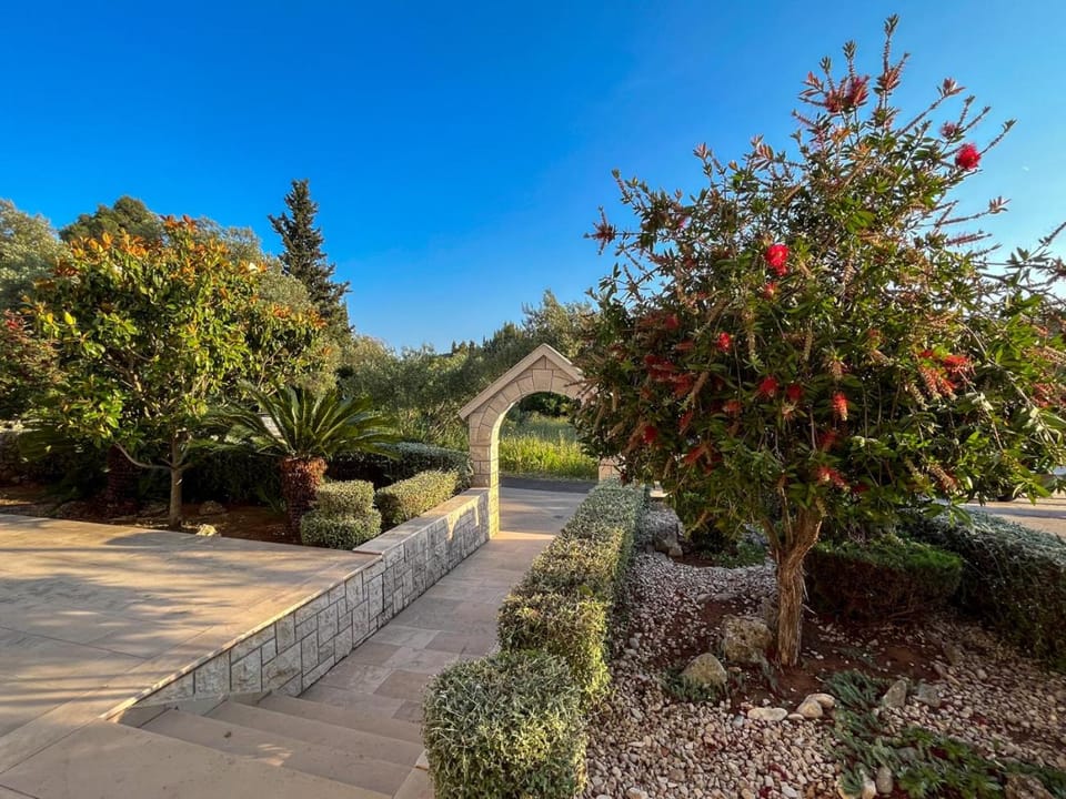 Neighbourhood, Garden, Quiet street view