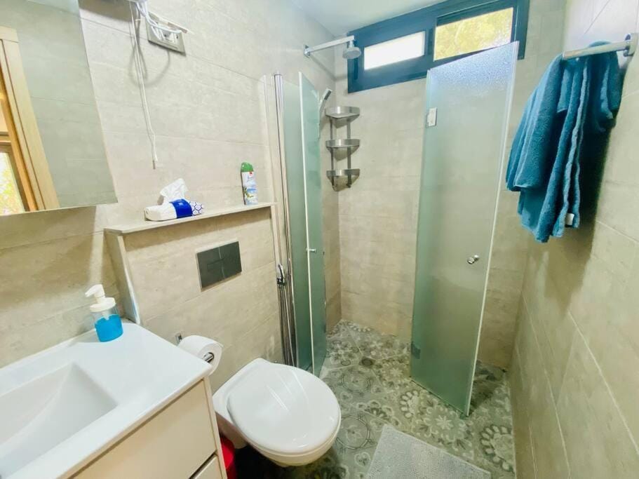 חצר ברמה House in North District