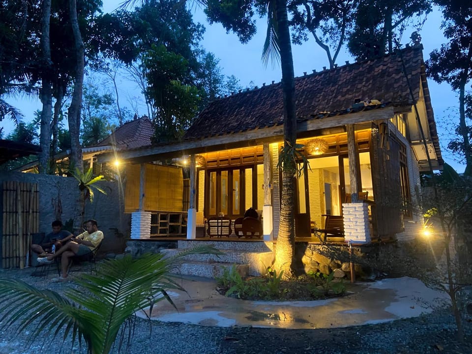 Property building, Night, Garden view