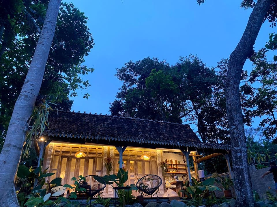 Property building, Night, Garden, Garden view