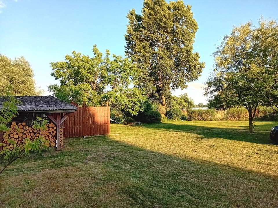 Spring, Natural landscape, Garden, Garden view